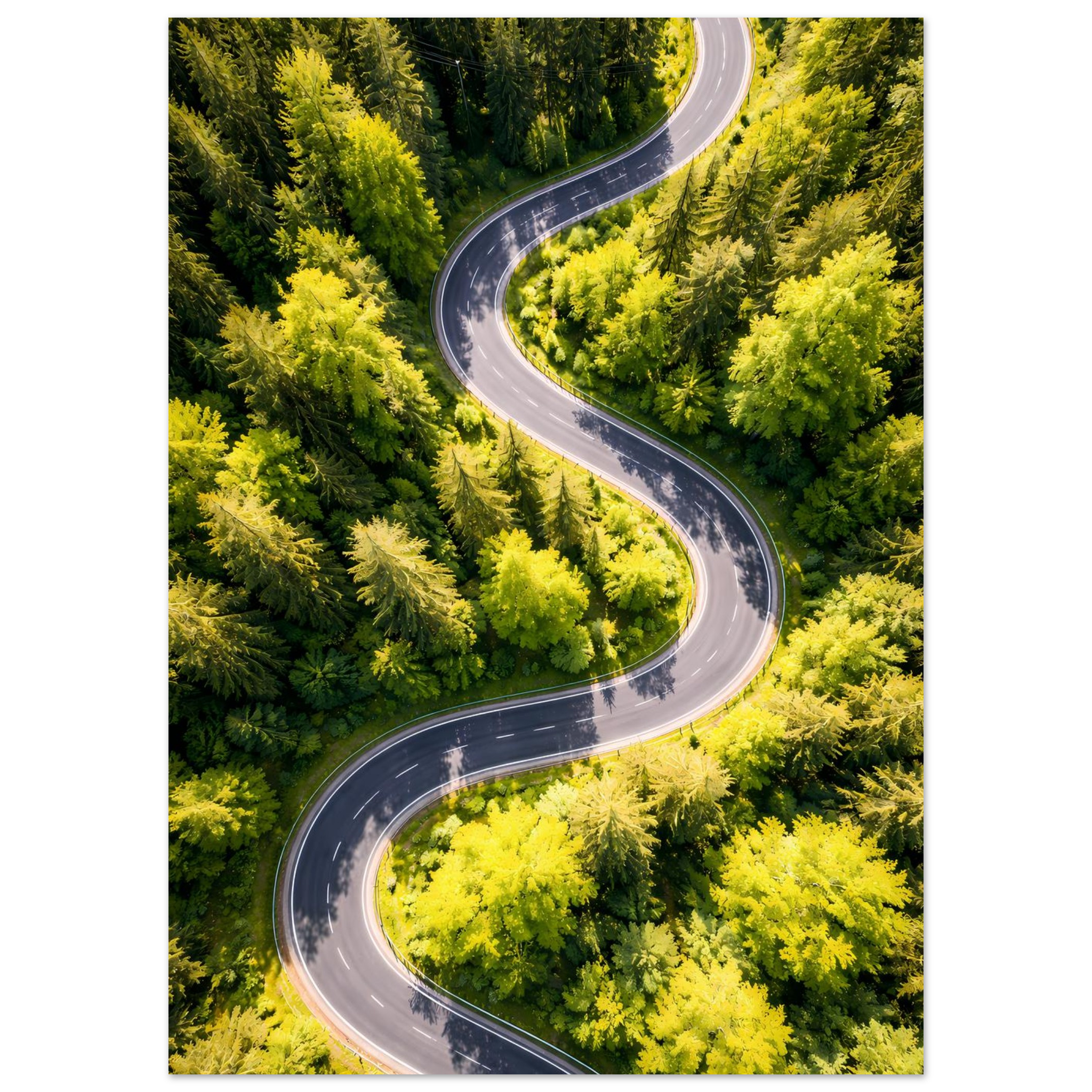 b49184c8-6266-40af-a797-73ce4845e50f